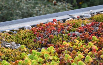 the cost of West Witton green roof installation