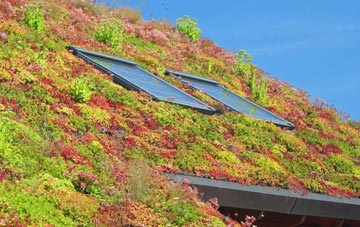 West Witton living roof systems